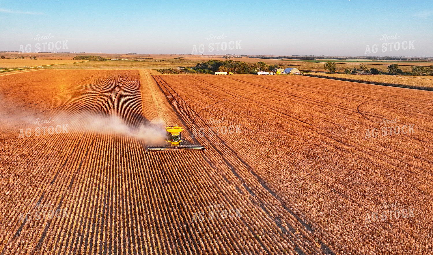 Soybean Harvest 141465