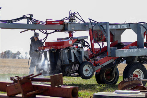 Farmer Washing Tomato Picker 109034