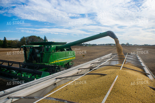 Combine Loading Semi with Soybeans 50008