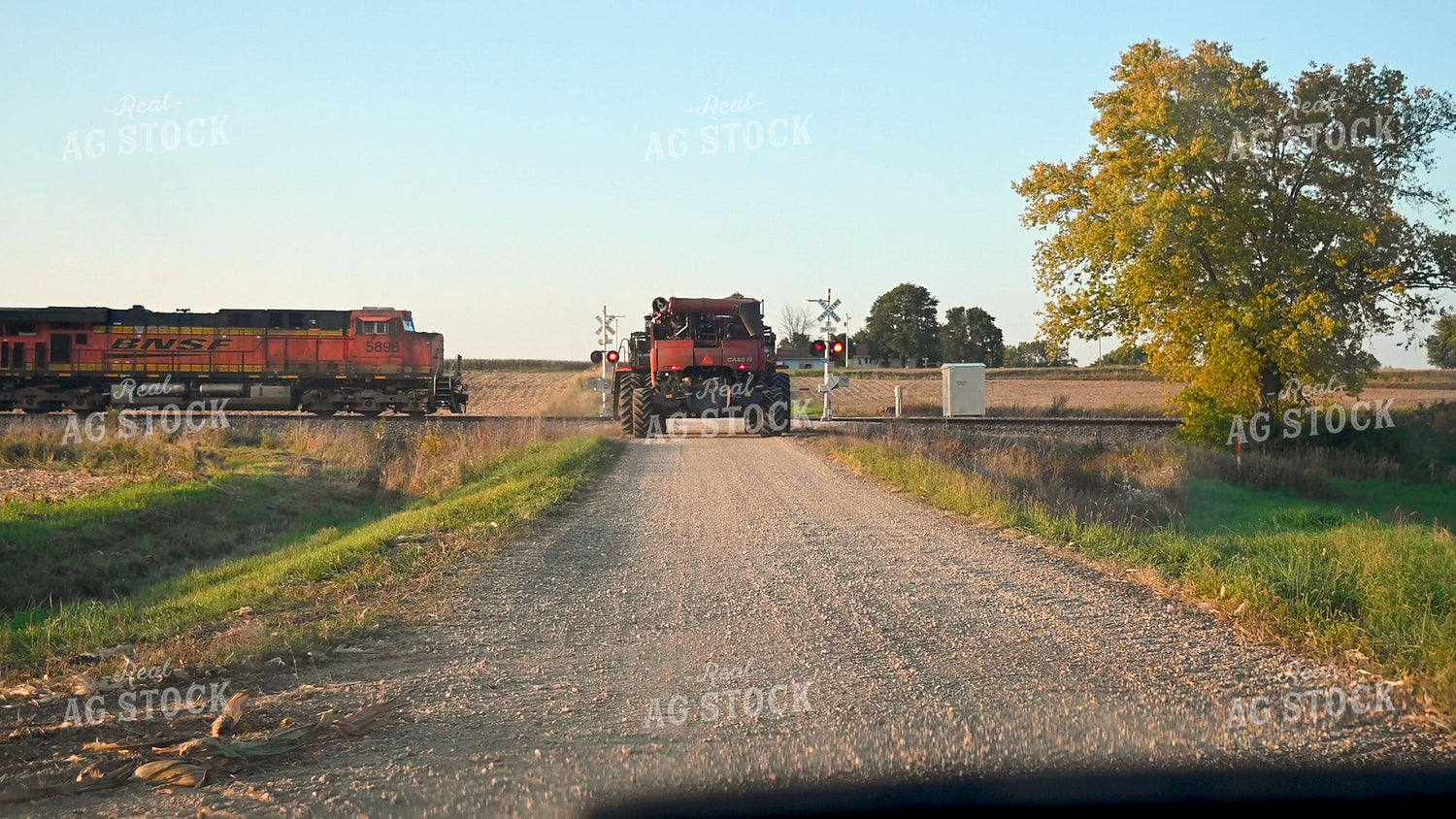 Combine Waiting for Train at Railroad Tracks 25532