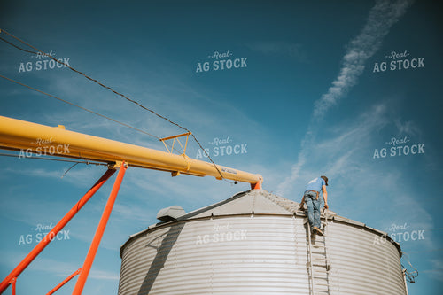 Auger Filling Grain Bin 7066