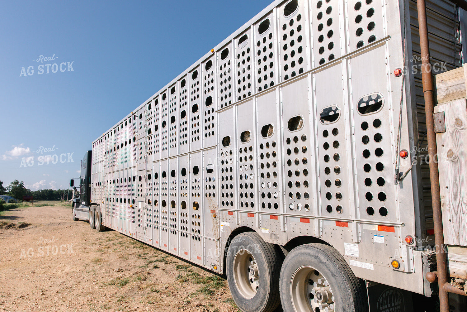 Livestock Trailer 278010