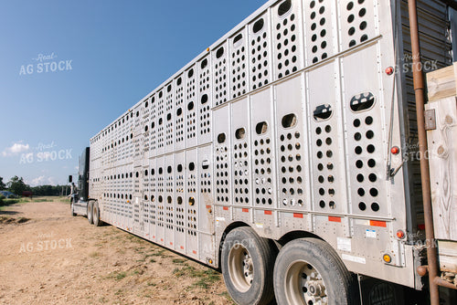 Livestock Trailer 278010