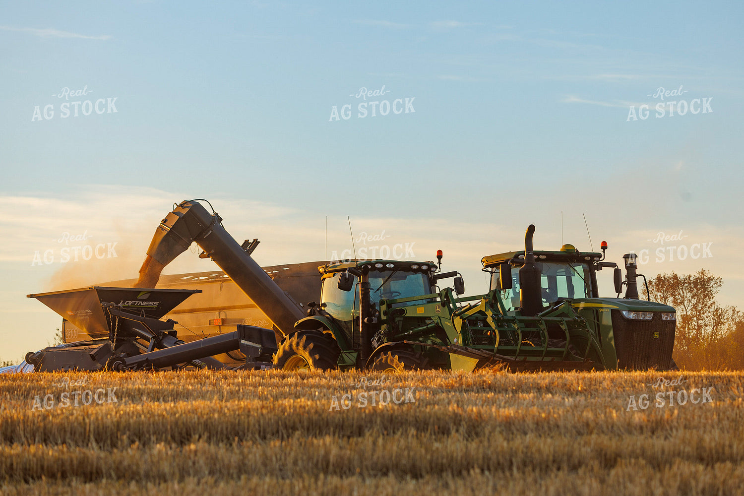 Wheat Harvest 187316