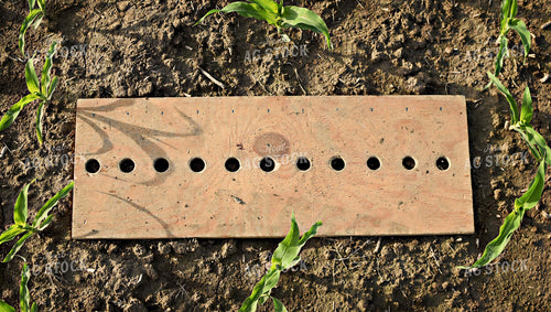 Soil Sampling 100039