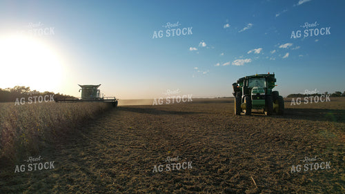 Soybean Harvest 65100