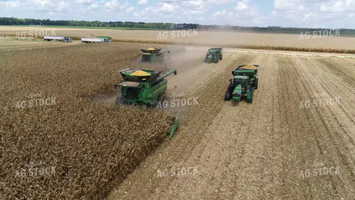 Harvesting Corn Two Combines and Grain Carts Drone 80050
