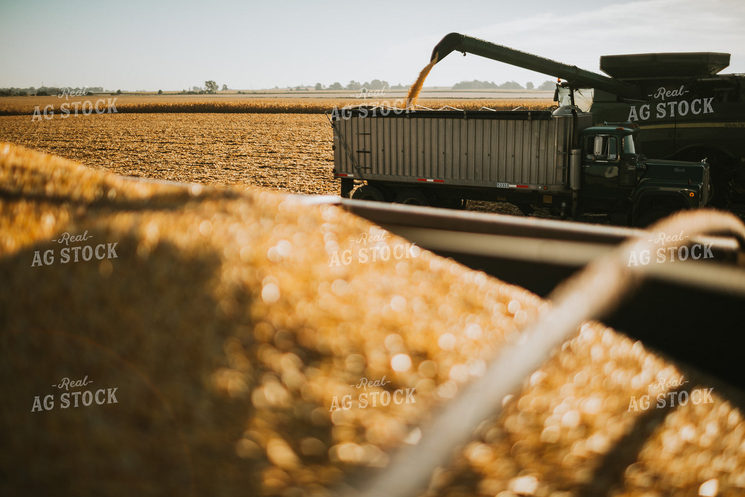 Augering Corn into Truck 4658
