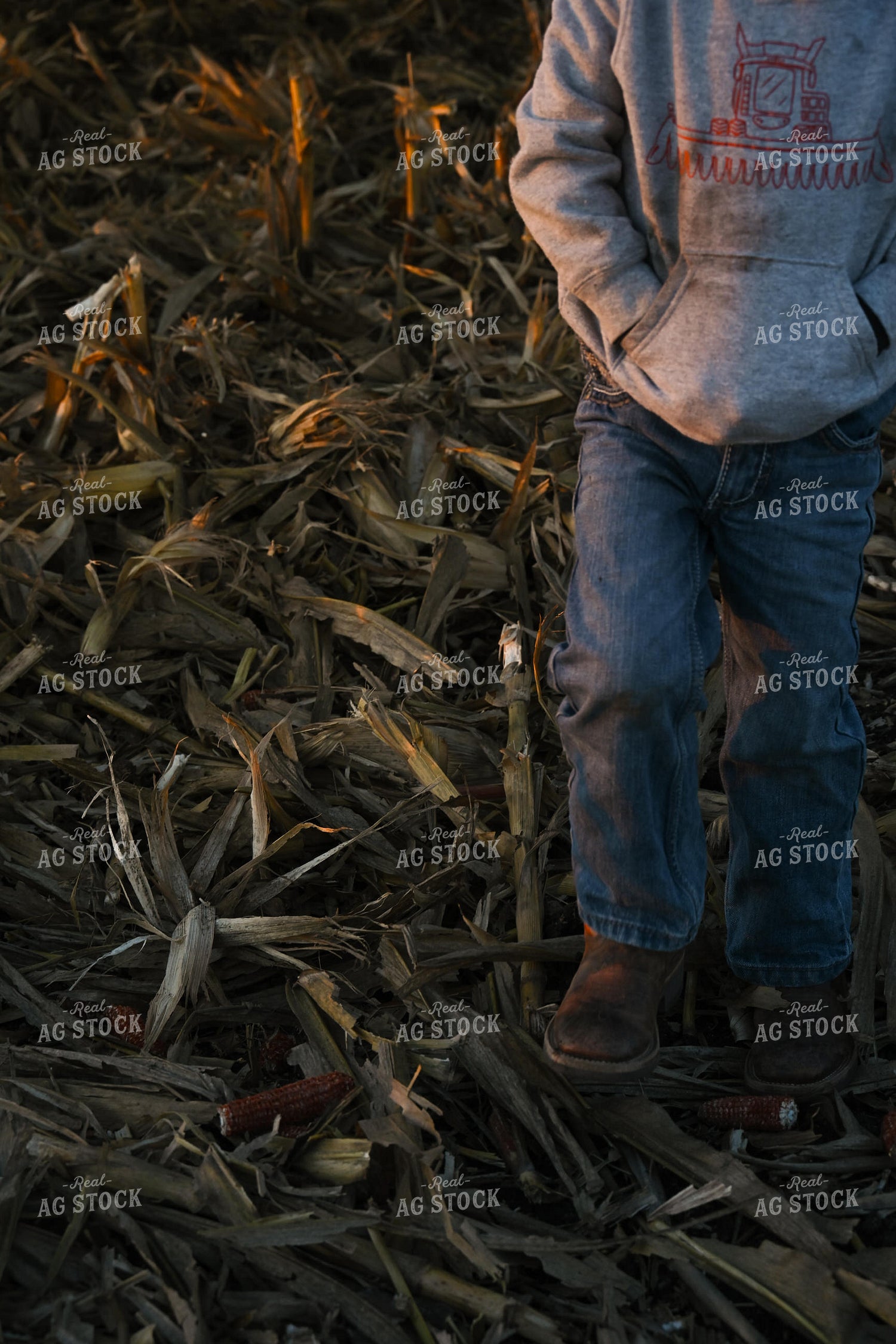 Farm Kid Walking by Combine 26307