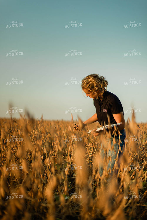 Female Agronomist Checking Beans 8307