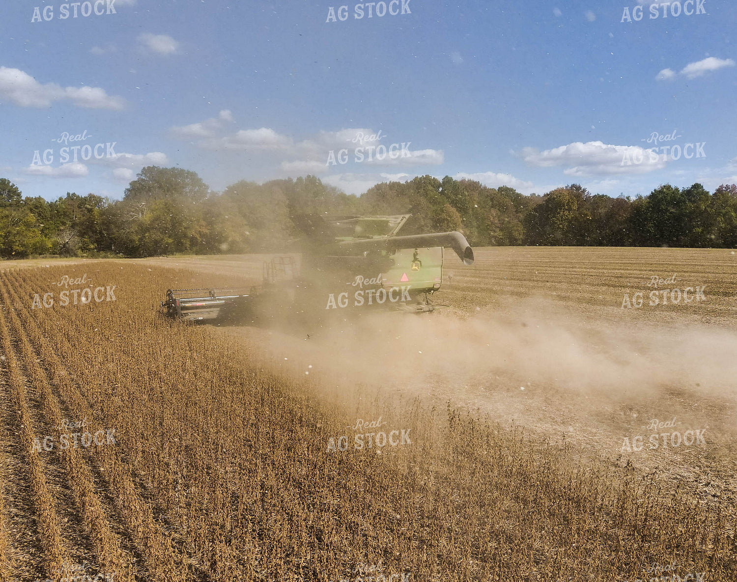 Soybean Harvest 79165