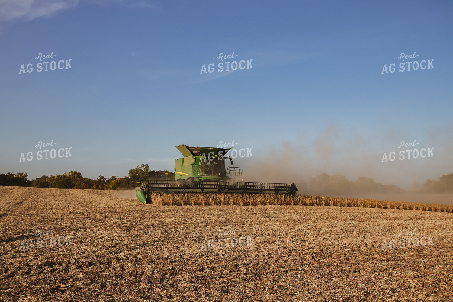 Soybean Harvest 67273