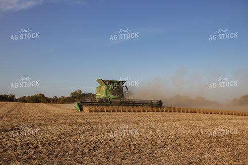 Soybean Harvest 67273