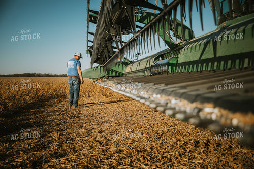 Farmer Inspecting Combine Head 7126