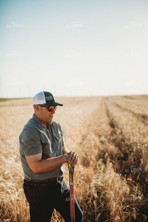 Farmer Agronomist with Shovel in Soybean and Rye Cover Crop Field 5834