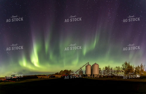 Northern Lights Shine Above Farmstead 138016