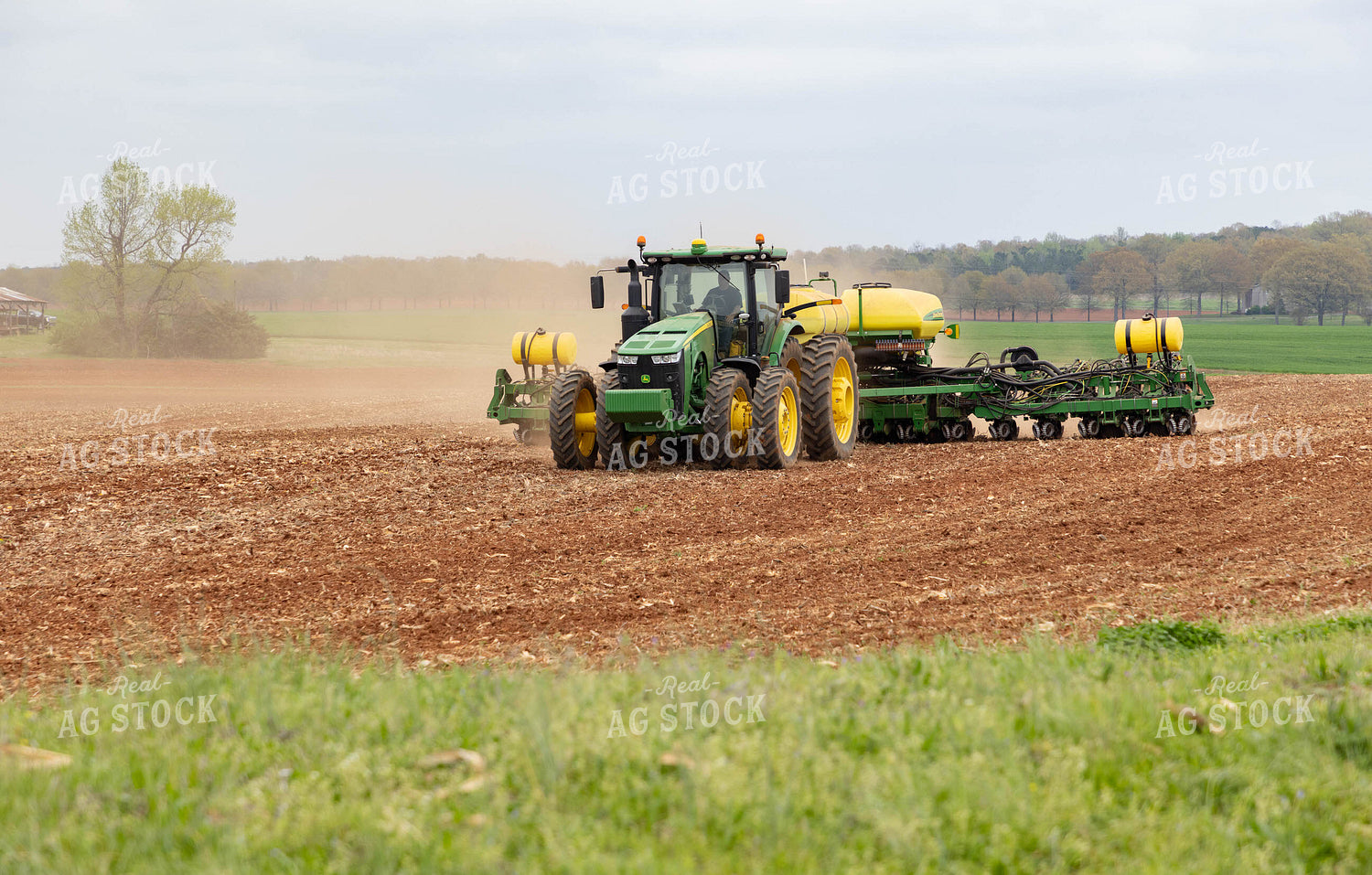 Planting 79590