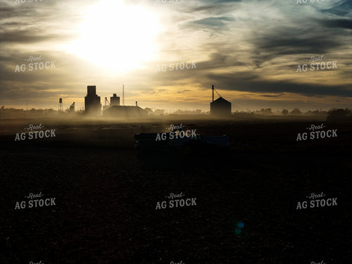 Milo Harvest 239424
