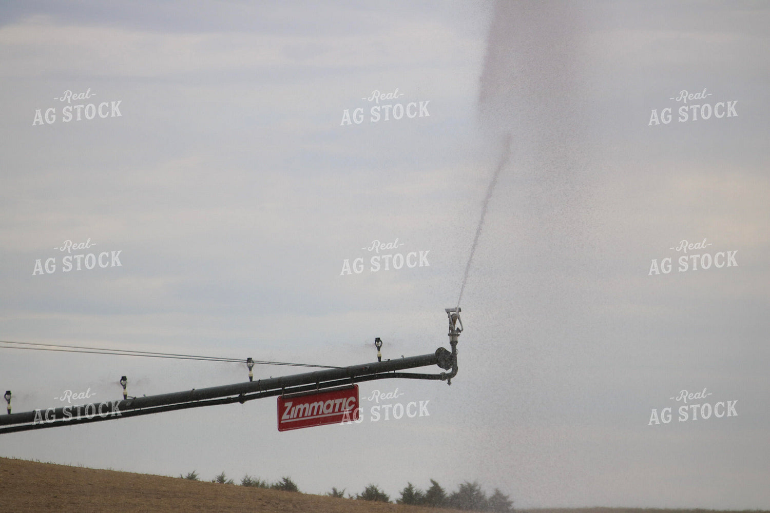 Irrigation 82411