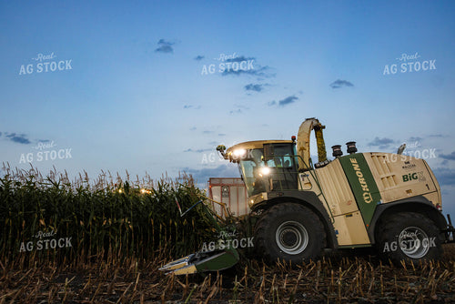 Chopping Corn Silage 152559