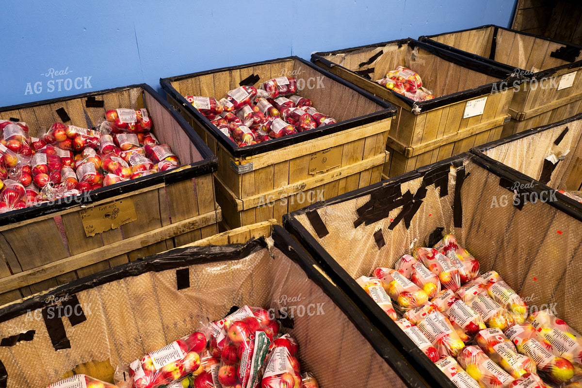 Apples 154117
