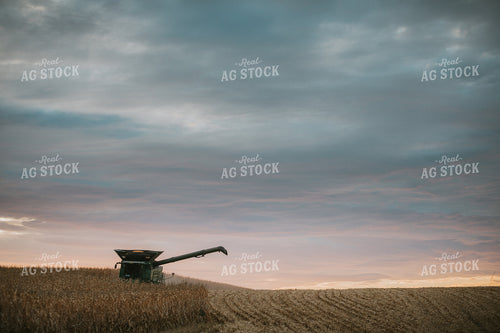 Corn Harvest 6925