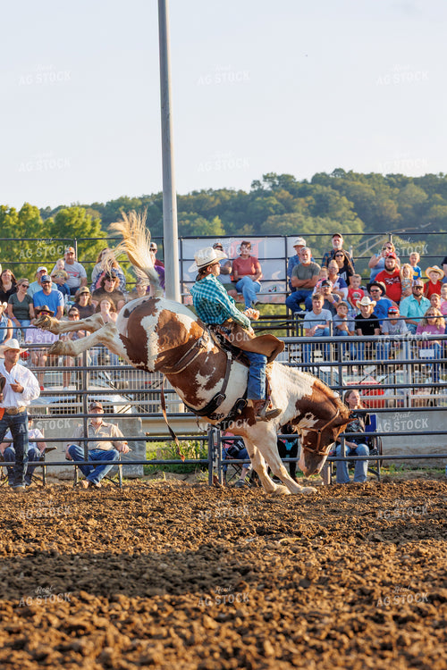 Rodeo 295136