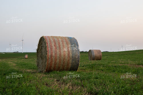 Round Bales in Field 67257
