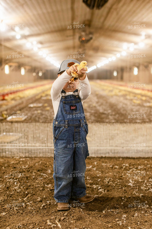 Farm Kid in Chicken Barn 280014