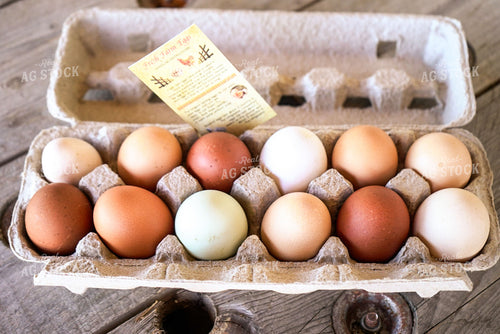 Farm Fresh Eggs 128127