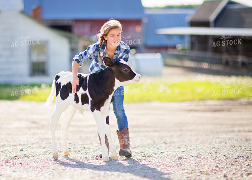 Farm Kid and Holstein Calf 55131