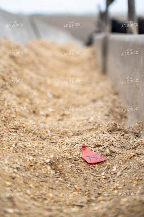 Ear Tag in Feed Bunker 193040
