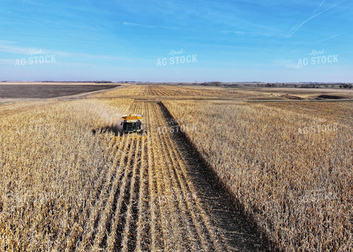 Aerial of Corn Harvest 141086