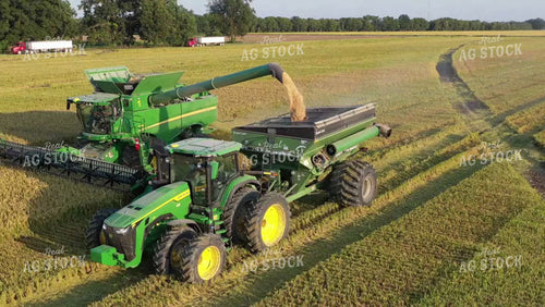Rice Harvest 79504