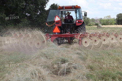 Raking Hay 102097