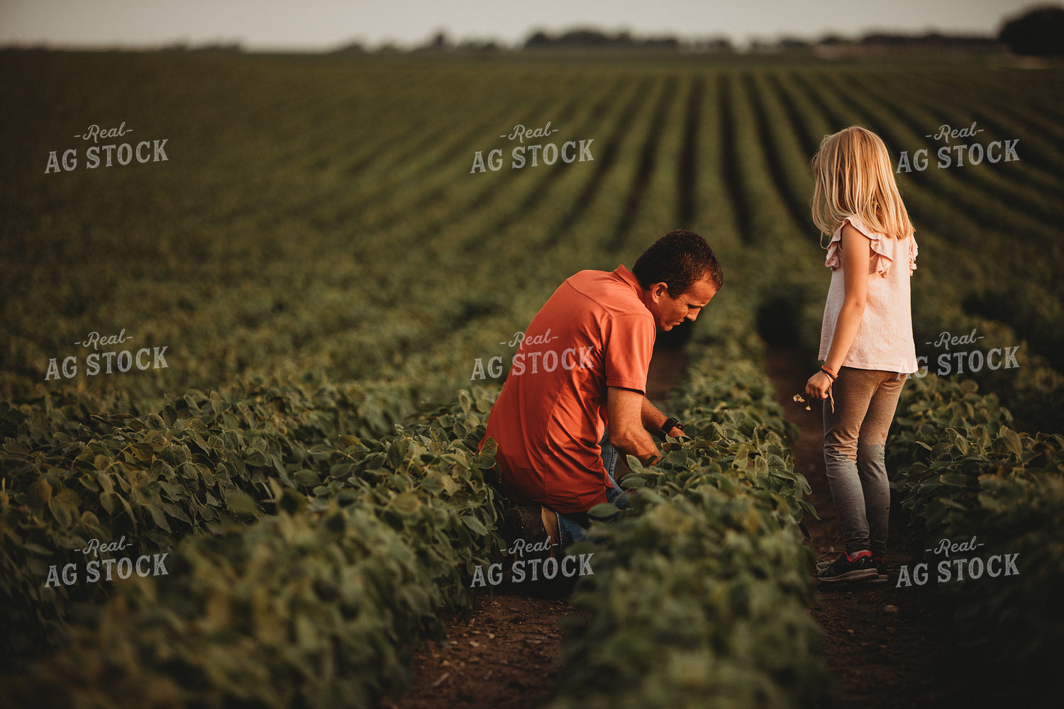 Farmer and Farm Kid Checking Crops in Soybean Field 4582