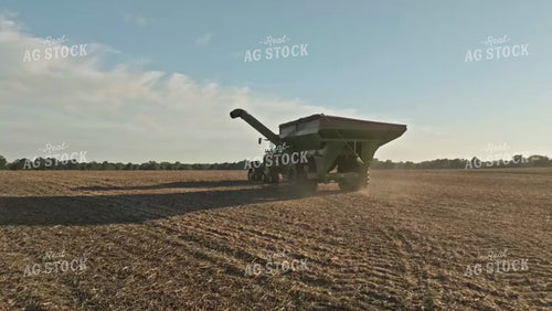 Soybean Harvest 92108