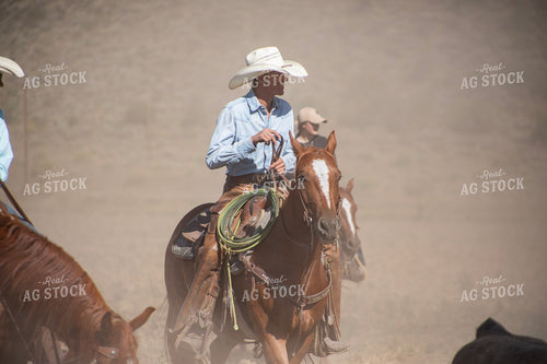 Cowboy on Cattle Drive 117424