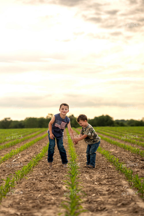 Farm Kids in Early Growth Corn Field 115918