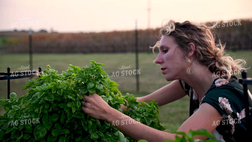 Farm Wife in the Garden - 390
