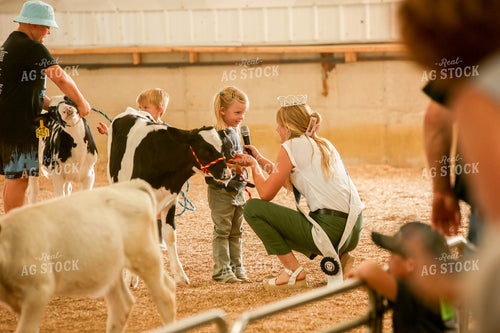 Showing Cattle 161044