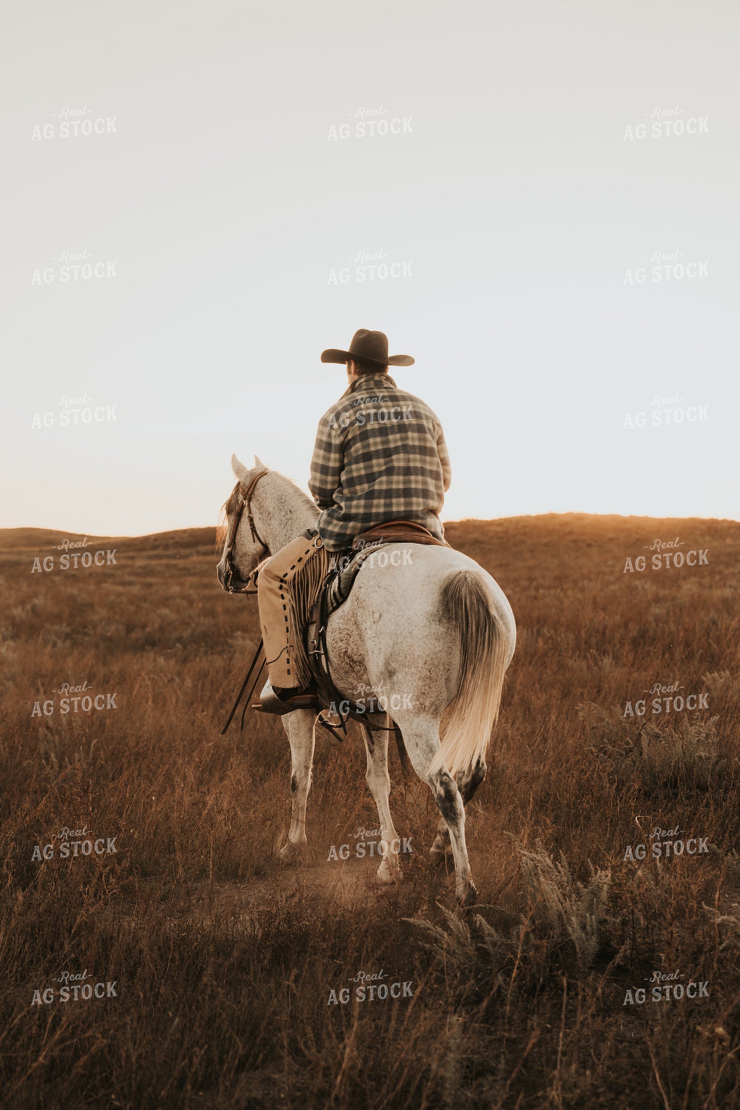 Cowboy Riding Horse 61207