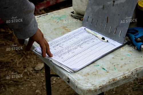 Working Cattle 214268