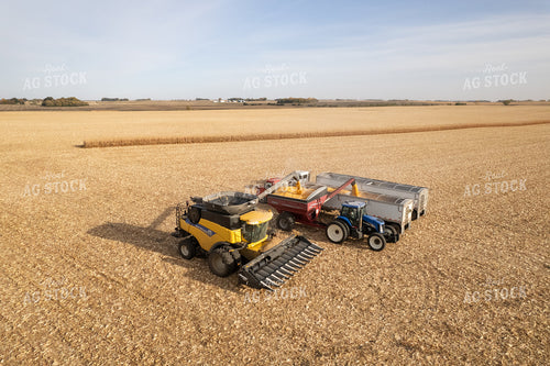 Corn Harvest 255012