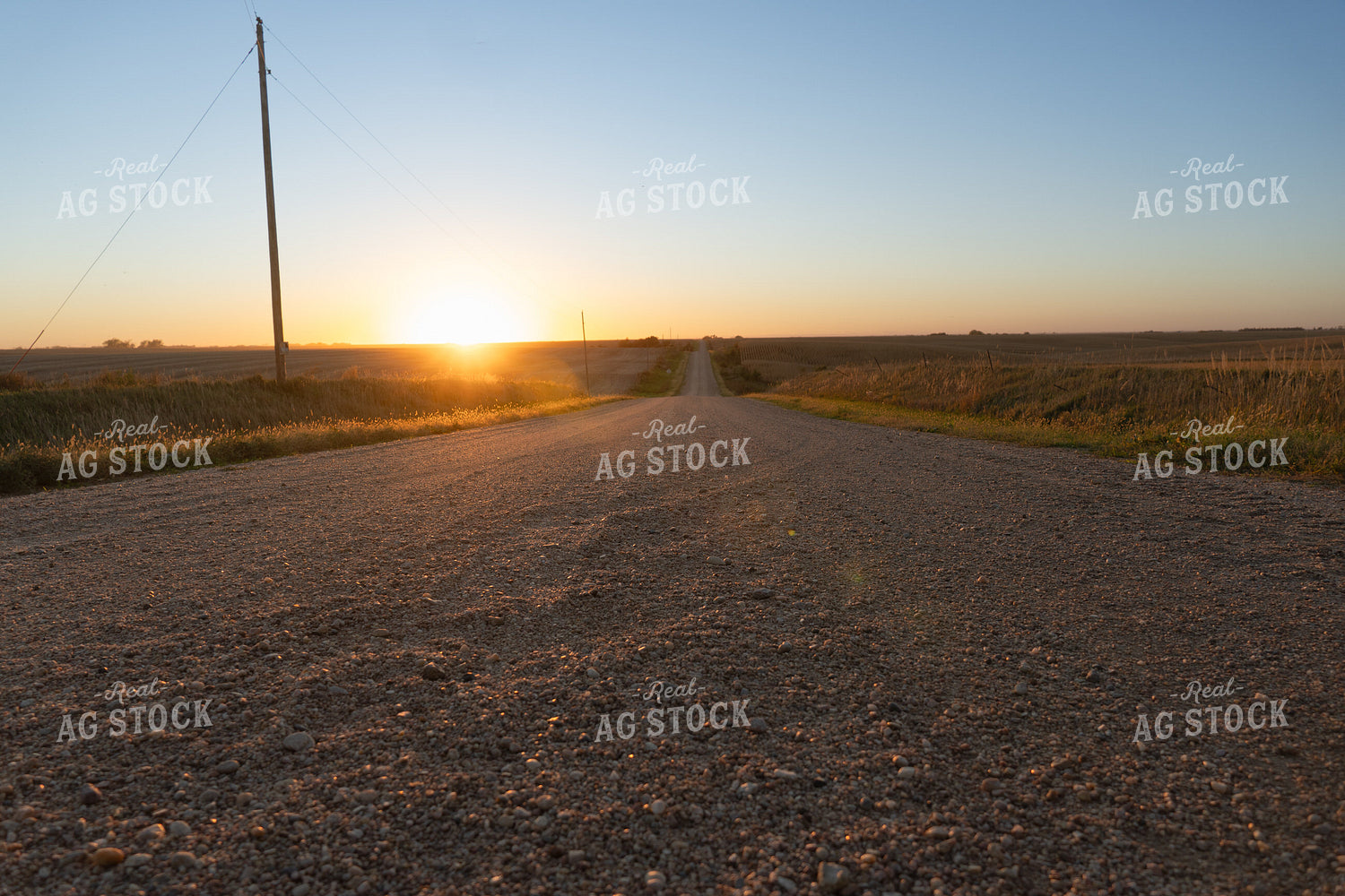 Rural Road at Sunset 65529