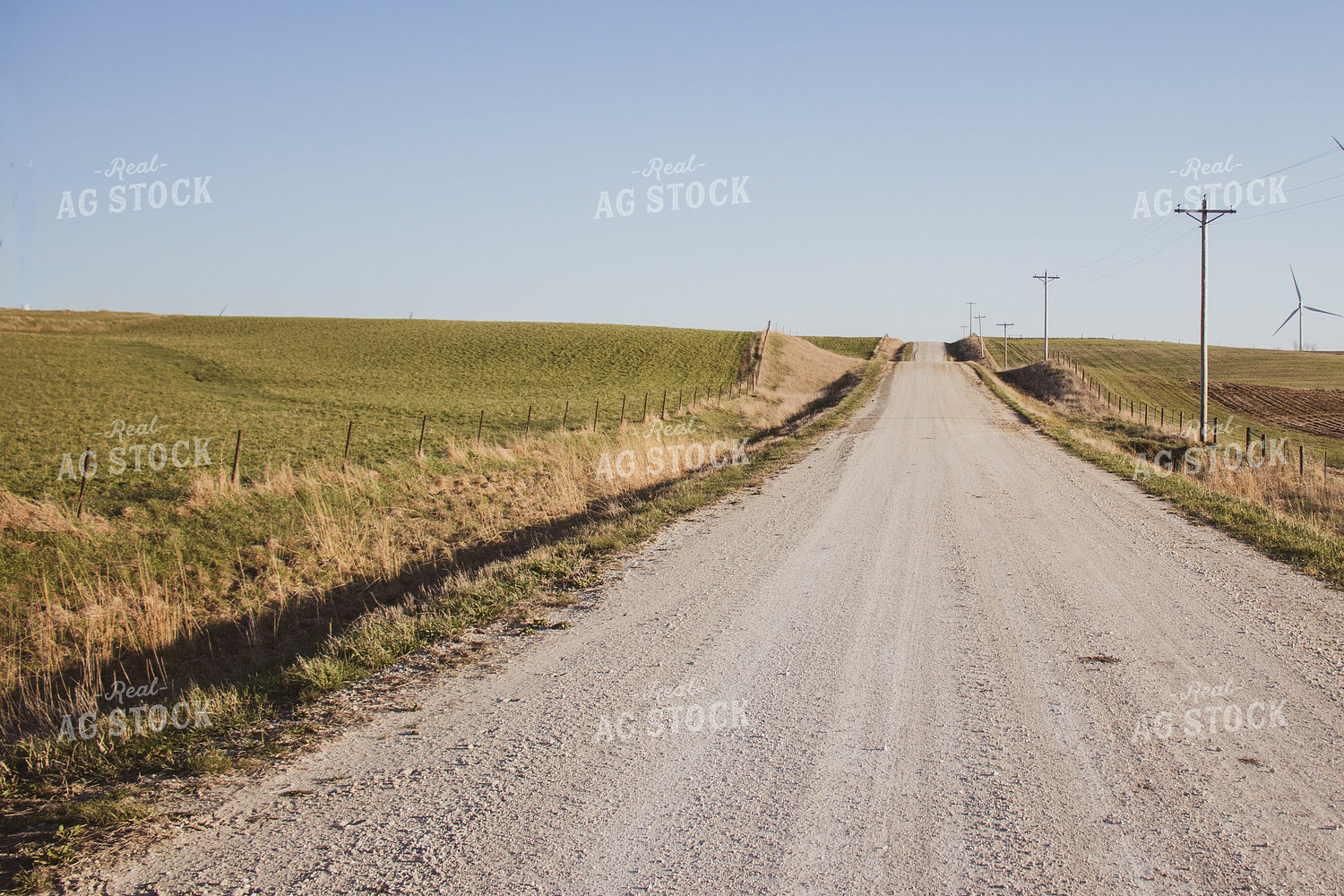 Rural Road 67812