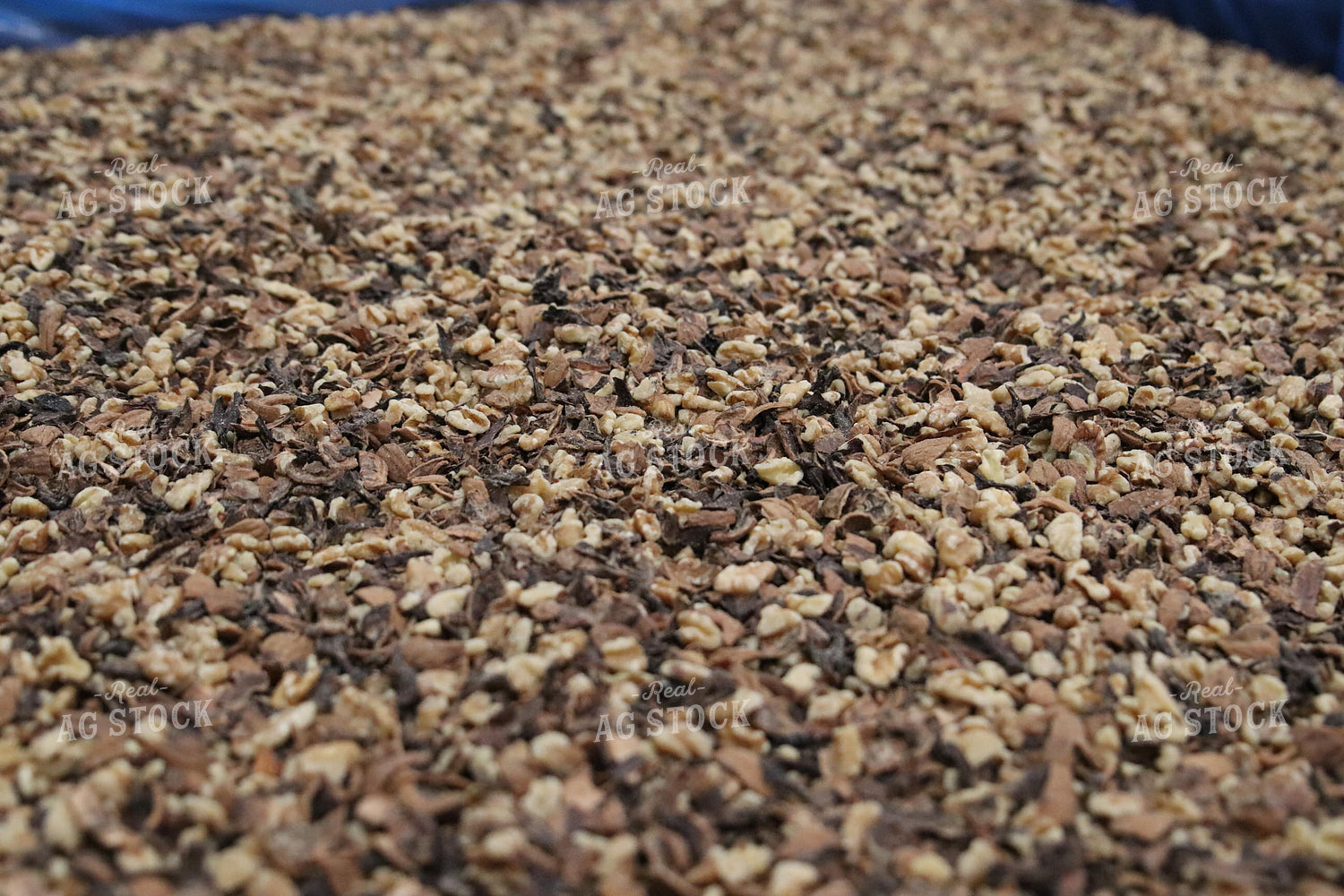 Almond Shells 102116