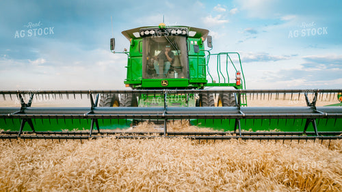 Wheat Harvest 56700