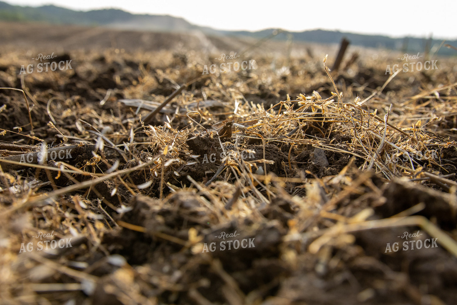 Freshly Tilled Spring Soil 52093
