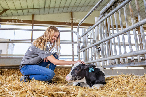 Farm Kid with Holstein Calf 270368